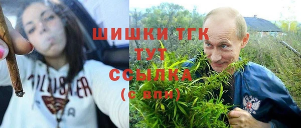 гидропоника Болотное
