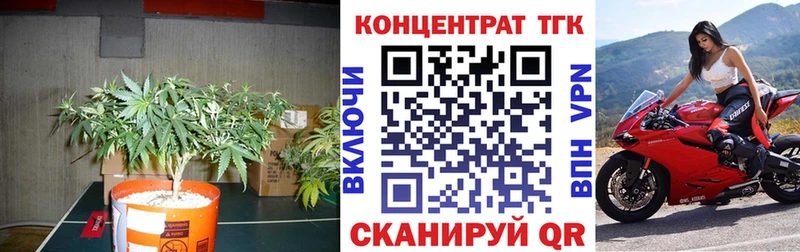 OMG вход  Еманжелинск  ТГК THC oil 
