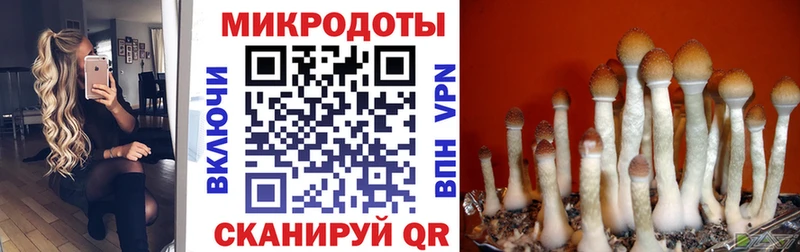 как найти закладки  Еманжелинск  Галлюциногенные грибы Cubensis 